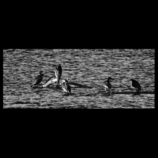 PHOTO84, CLUB, 84 , LUBERON